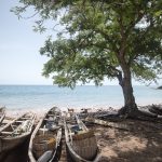 São Tomé et Príncipe, l’Île Chocolat