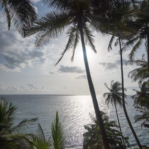 São Tomé et Príncipe, l’Île Chocolat