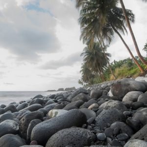 São Tomé et Príncipe, l’Île Chocolat