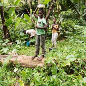 São Tomé et Príncipe, l’Île Chocolat