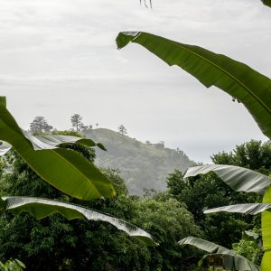 São Tomé et Príncipe, l’Île Chocolat