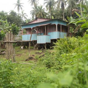 São Tomé et Príncipe, l’Île Chocolat