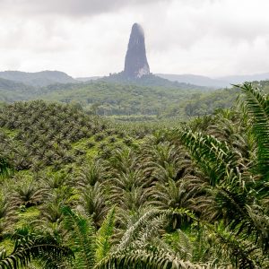 São Tomé et Príncipe, l’Île Chocolat