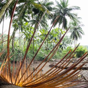 São Tomé et Príncipe, l’Île Chocolat