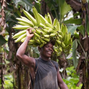 São Tomé et Príncipe, l’Île Chocolat