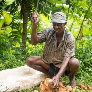 São Tomé et Príncipe, l’Île Chocolat