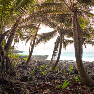 São Tomé et Príncipe, l’Île Chocolat