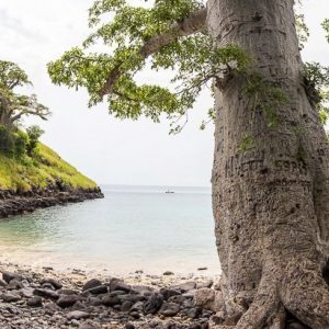 São Tomé et Príncipe, l’Île Chocolat