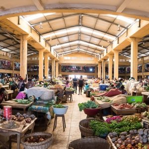 São Tomé et Príncipe, l’Île Chocolat