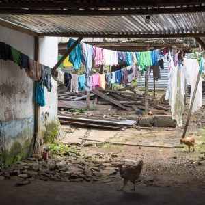 São Tomé et Príncipe, l’Île Chocolat