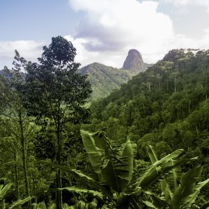 São Tomé et Príncipe, l’Île Chocolat