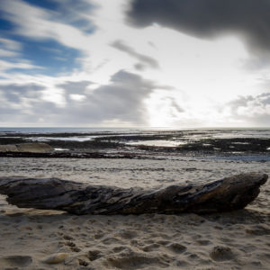 Île de Ré