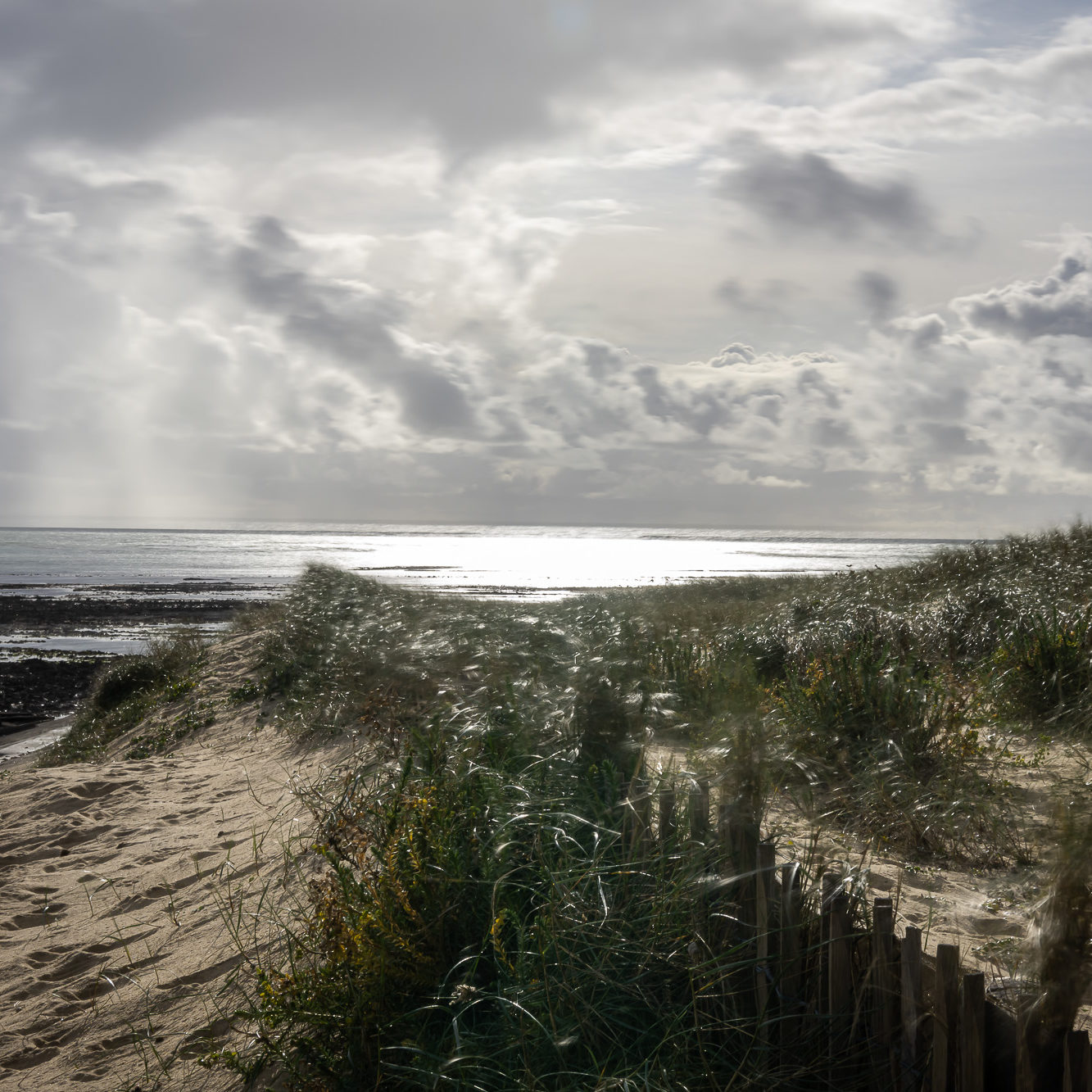 Île de Ré